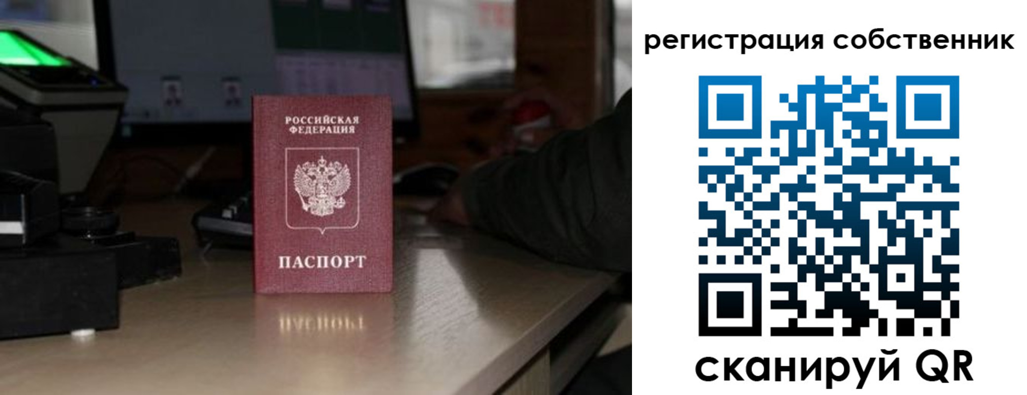 прописка поиск в Куровском